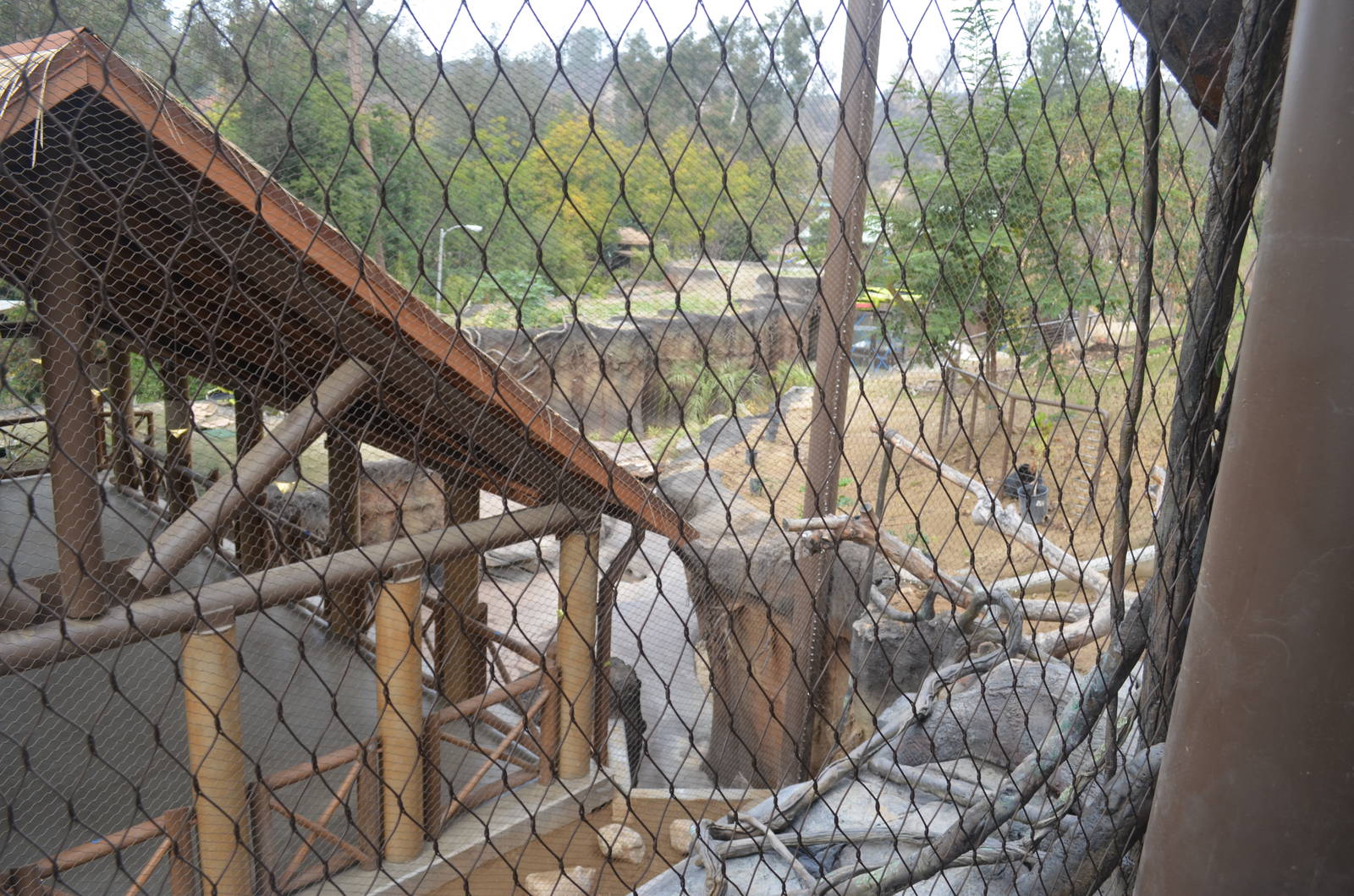 Rainforest of the Americas January 12, 2014