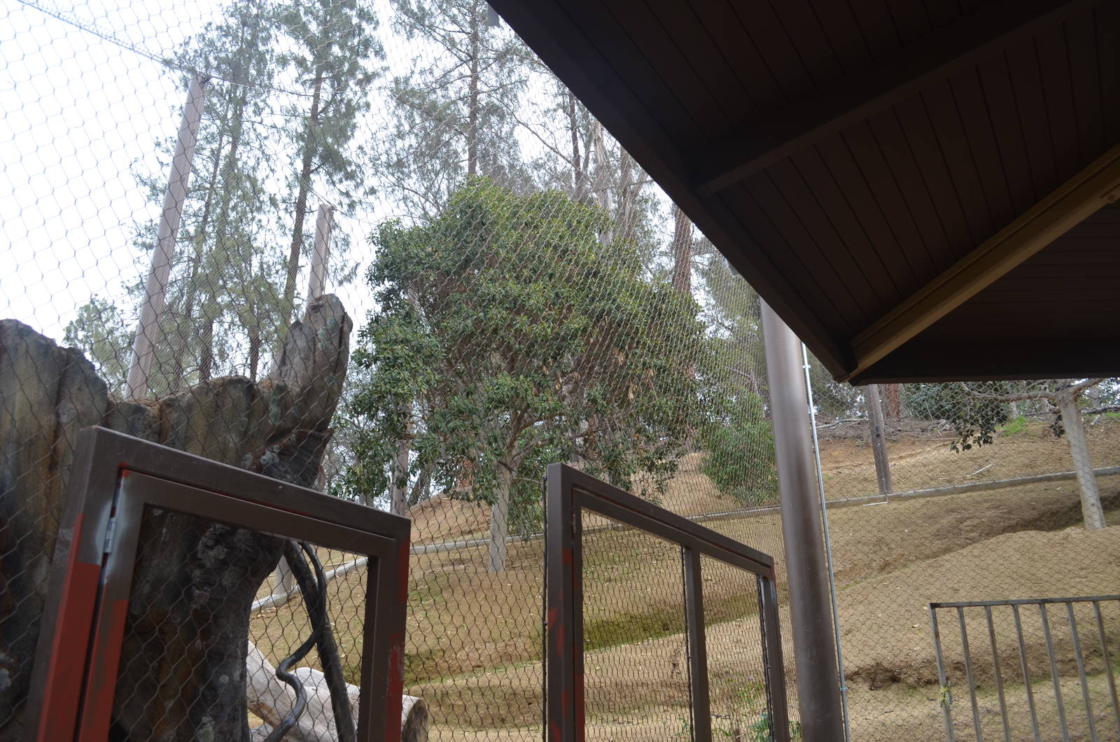 Rainforest of the Americas January 12, 2014