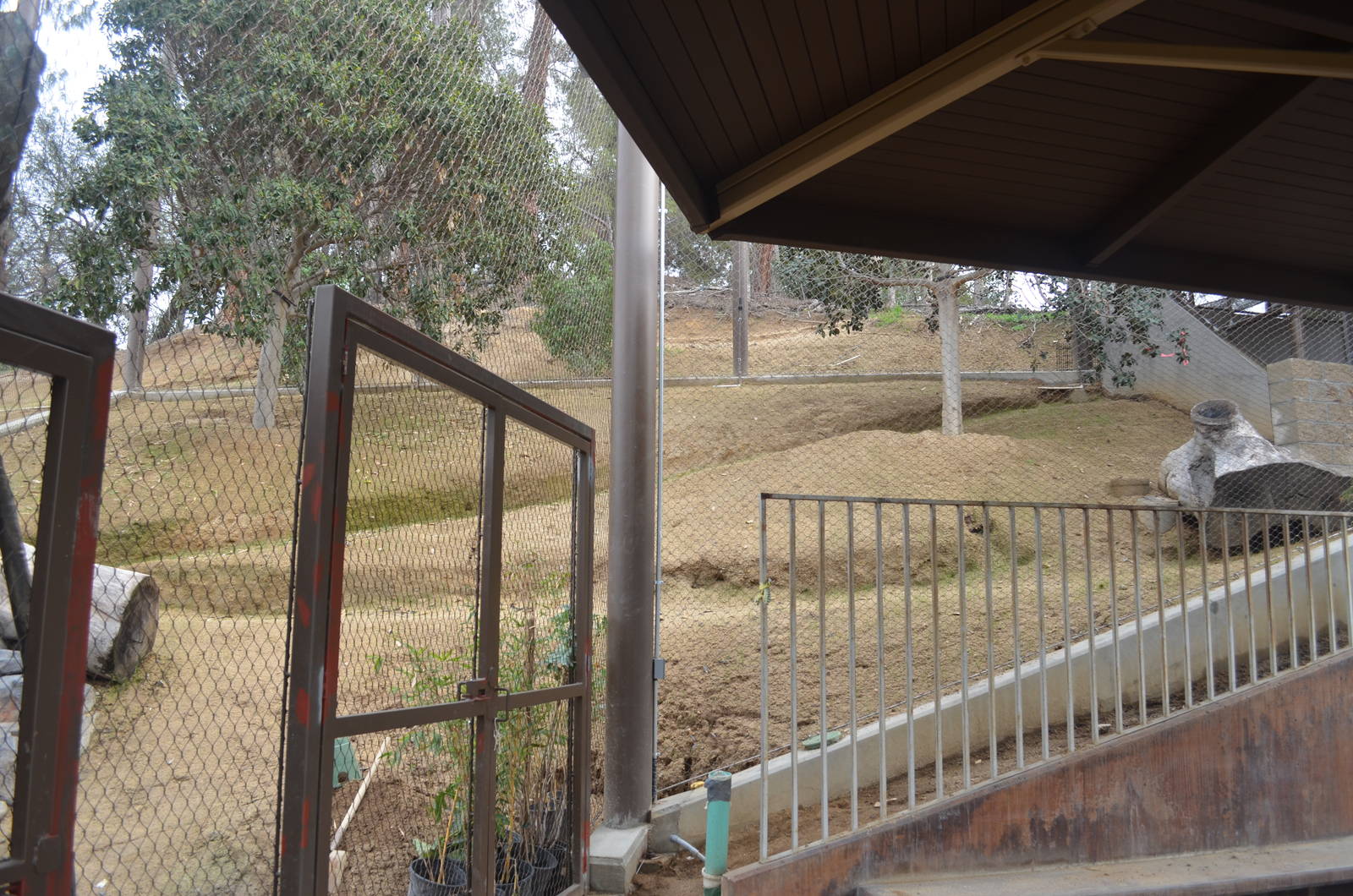 Rainforest of the Americas January 12, 2014