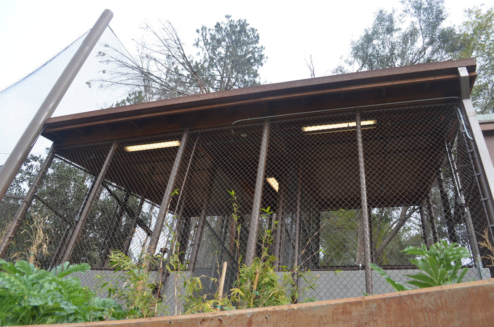 Rainforest of the Americas January 12, 2014