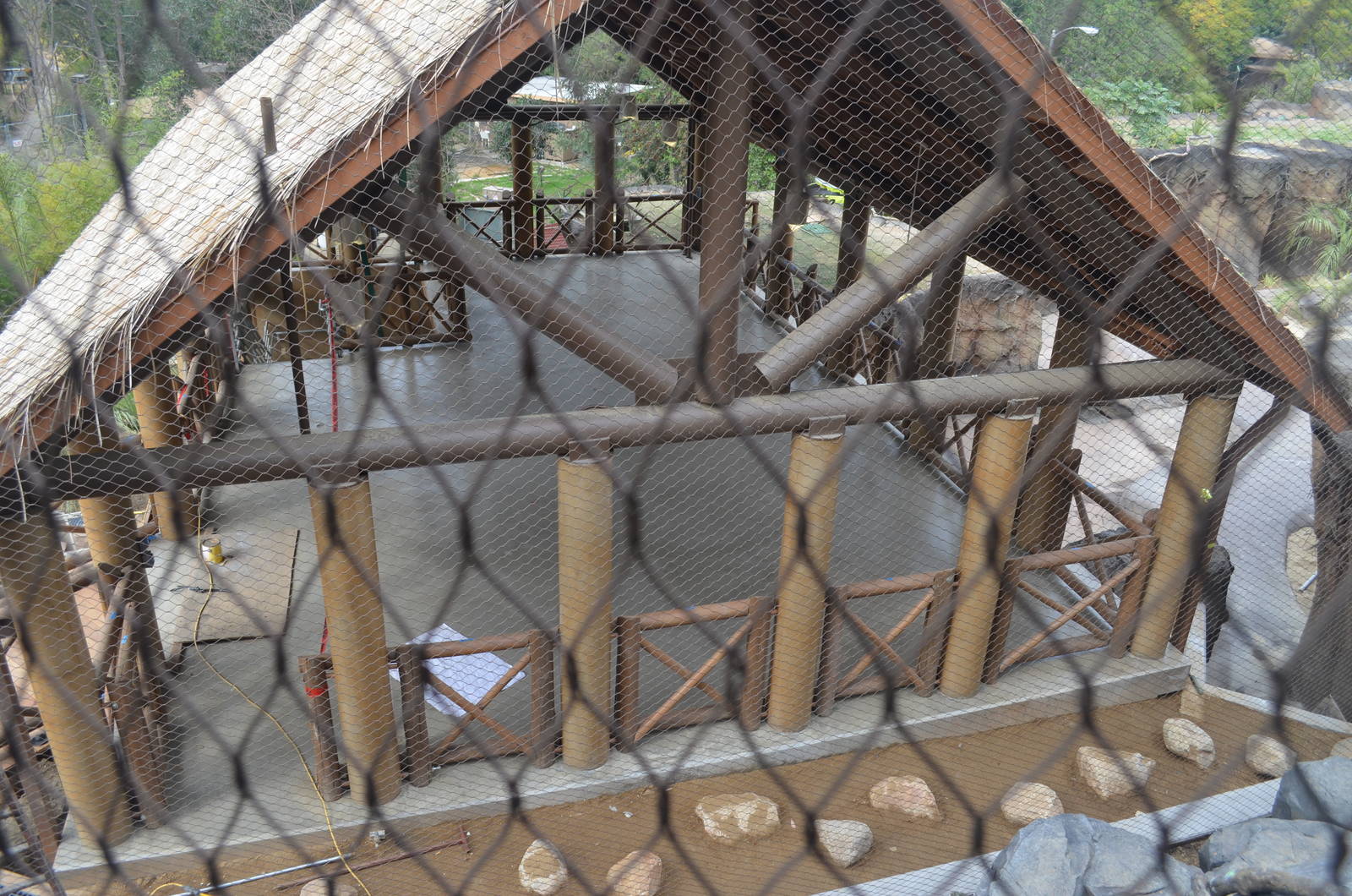 Rainforest of the Americas