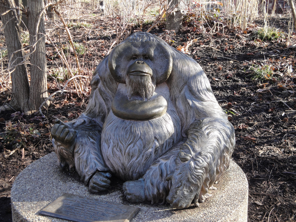 Rainforest - Orangutan Statue