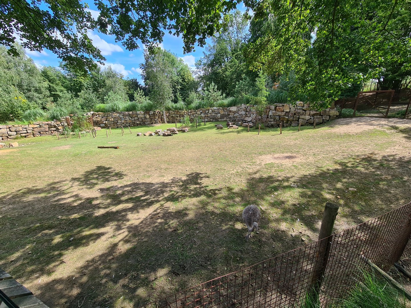 Rainforest - Pampas enclosure