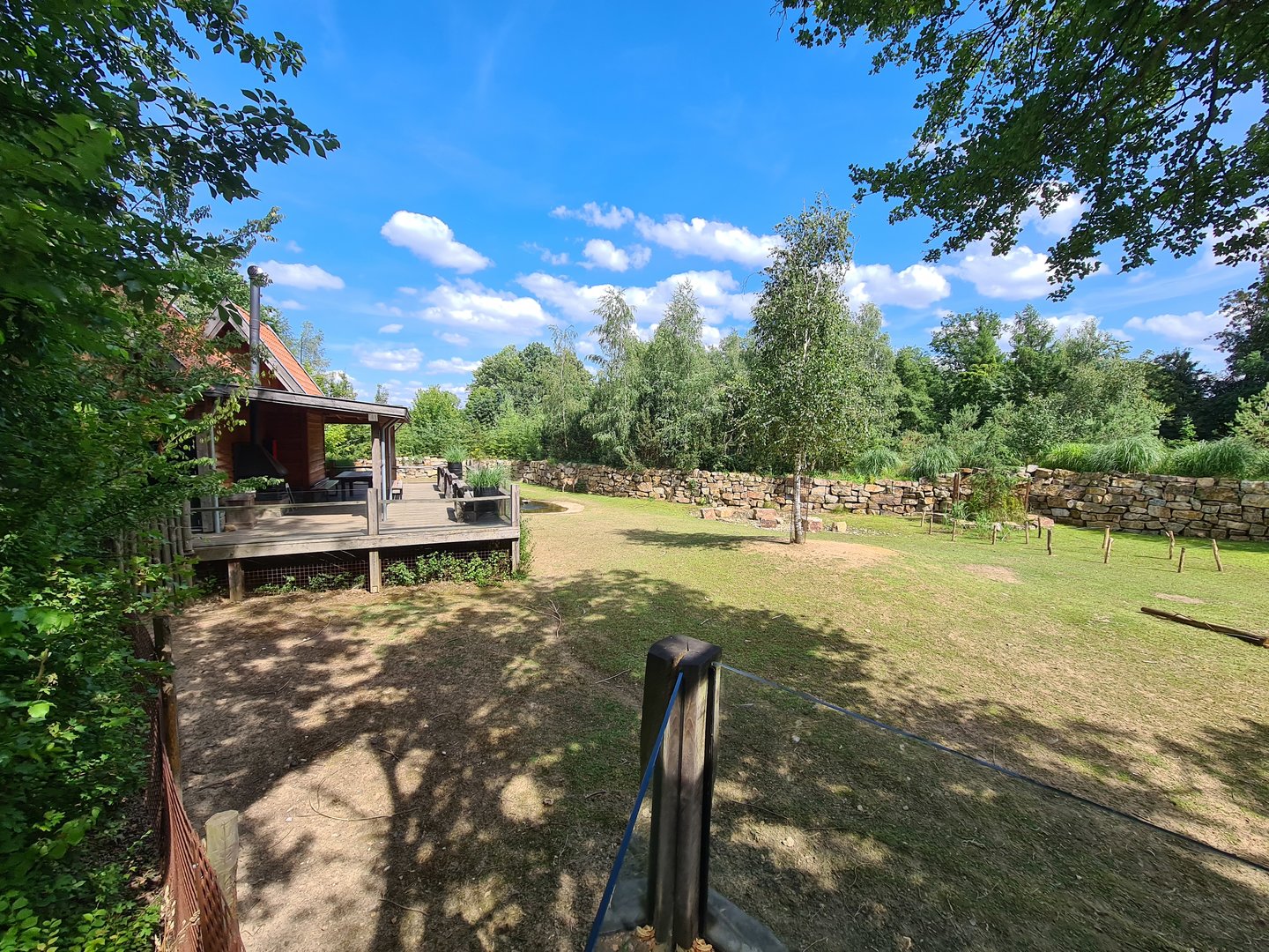 Rainforest - Pampas enclosure