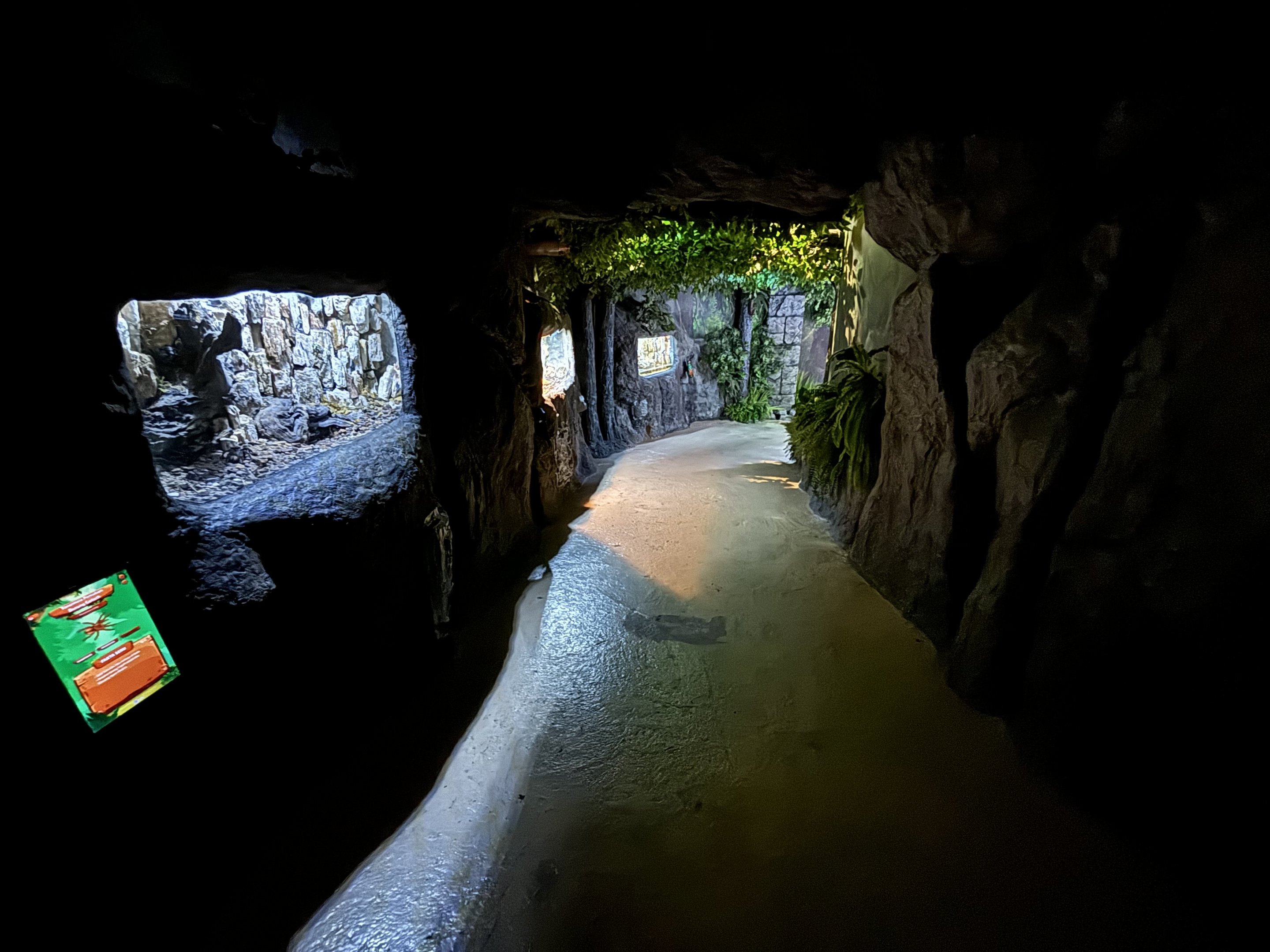 Rainforest Pathway - BXSea Aquarium