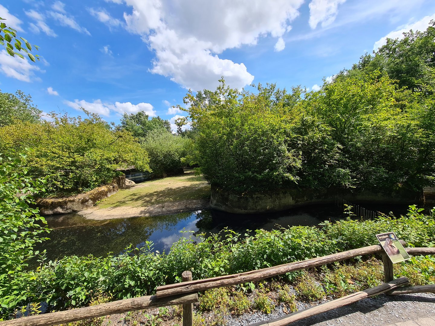 Rainforest - Pygmy hippo enclosure