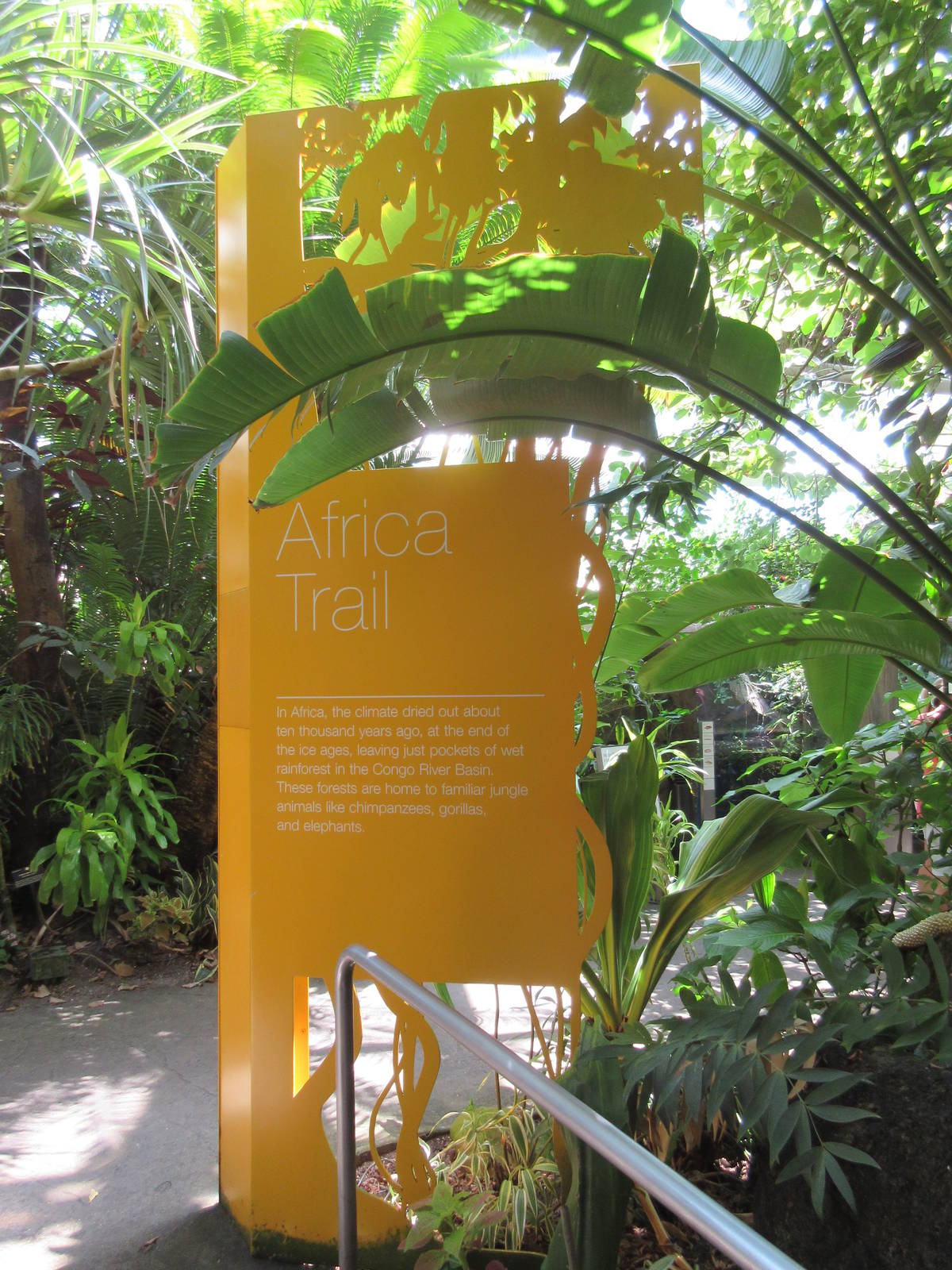 Rainforest Pyramid - Africa Trail Sign