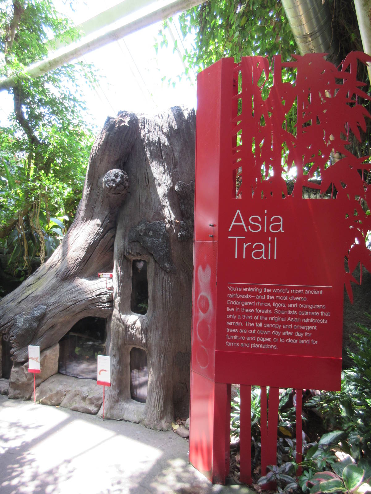 Rainforest Pyramid - Asia Trail Sign