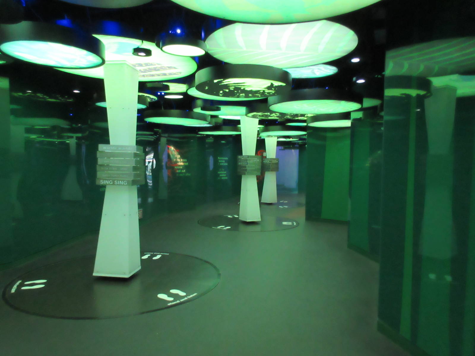 Rainforest Pyramid - Entrance Area