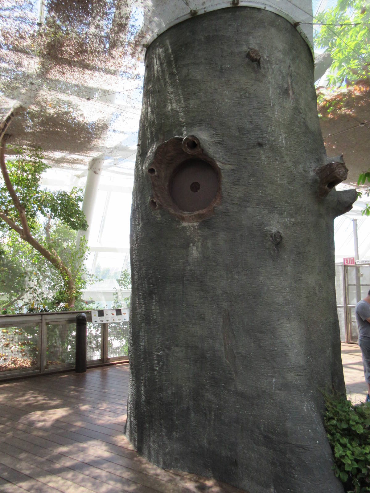 Rainforest Pyramid - fake tree in butterfly zone