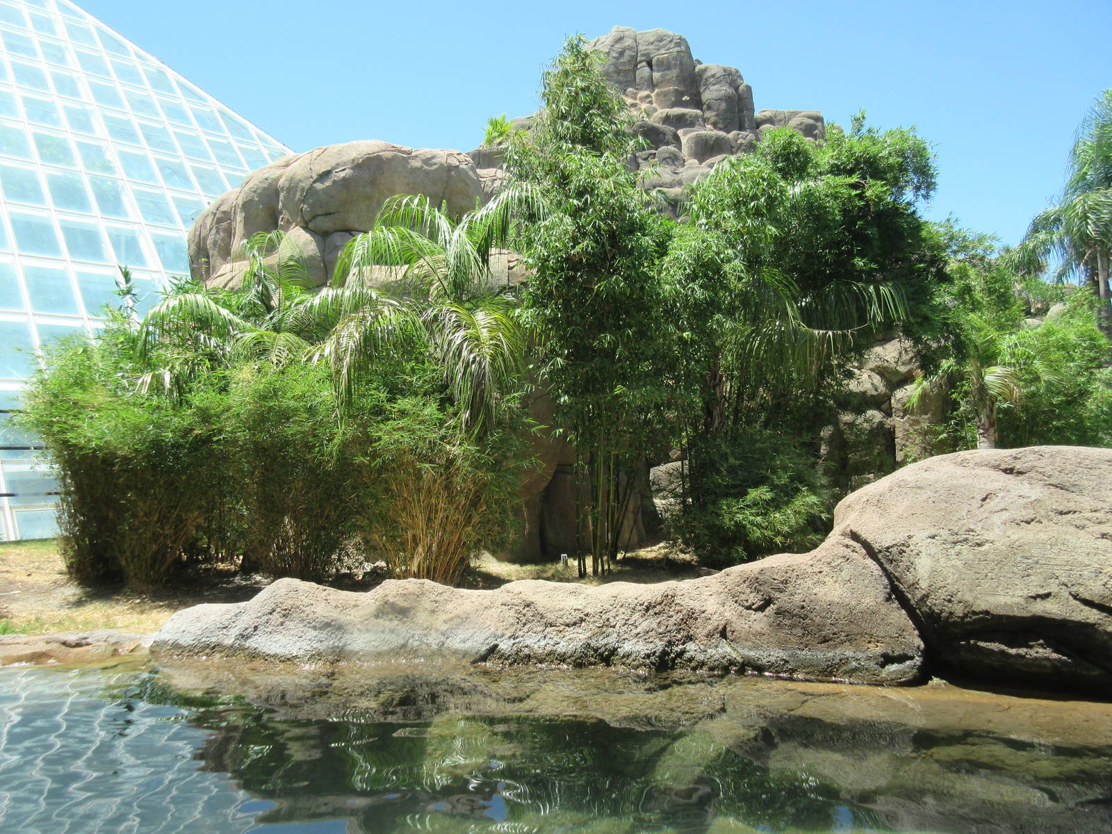 Rainforest Pyramid - Giant River Otter Exhibit - enormous!