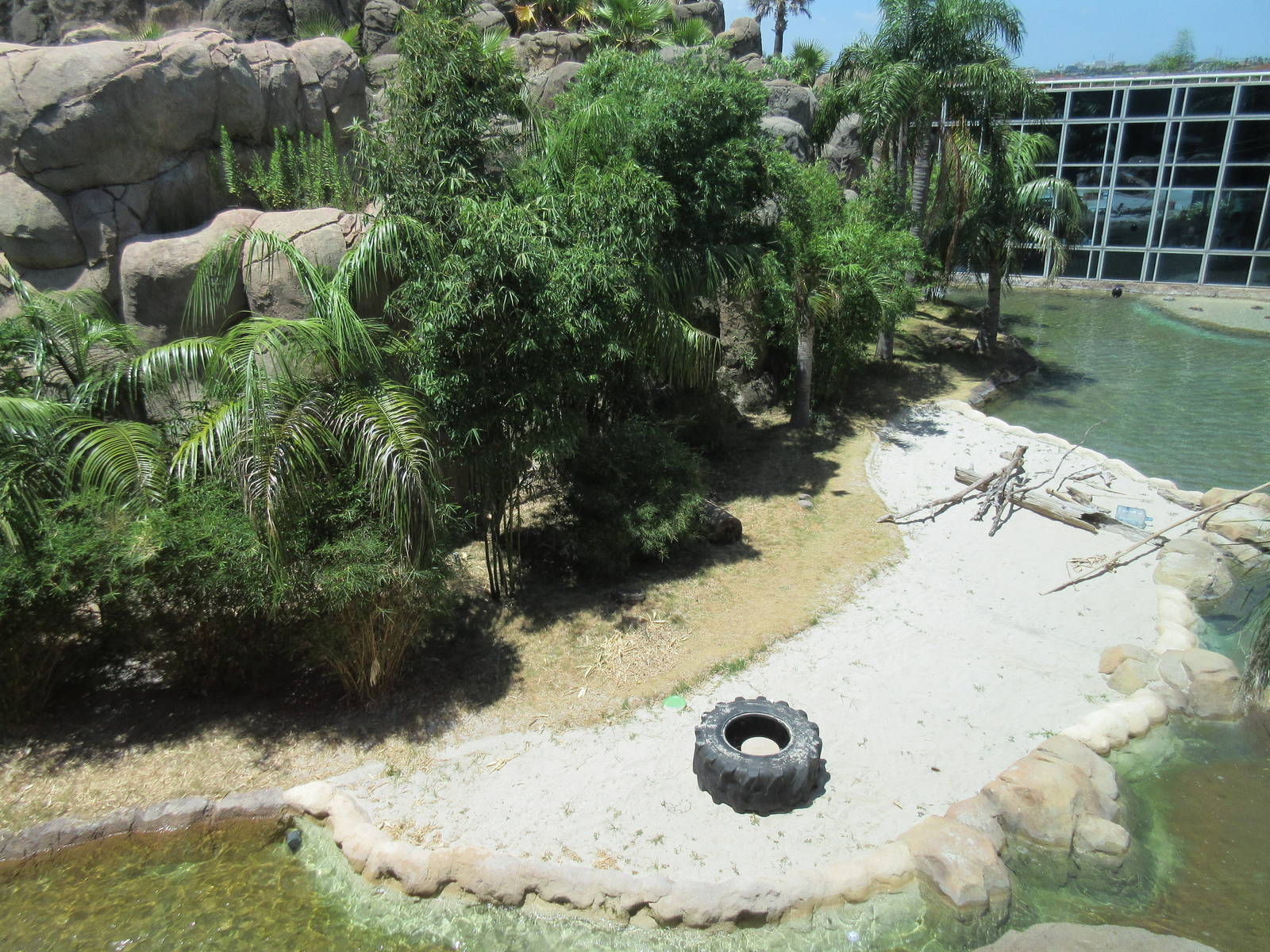Rainforest Pyramid - Giant River Otter Exhibit - enormous!