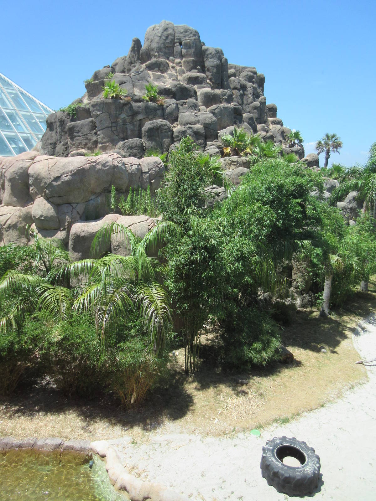 Rainforest Pyramid - Giant River Otter Exhibit - enormous!