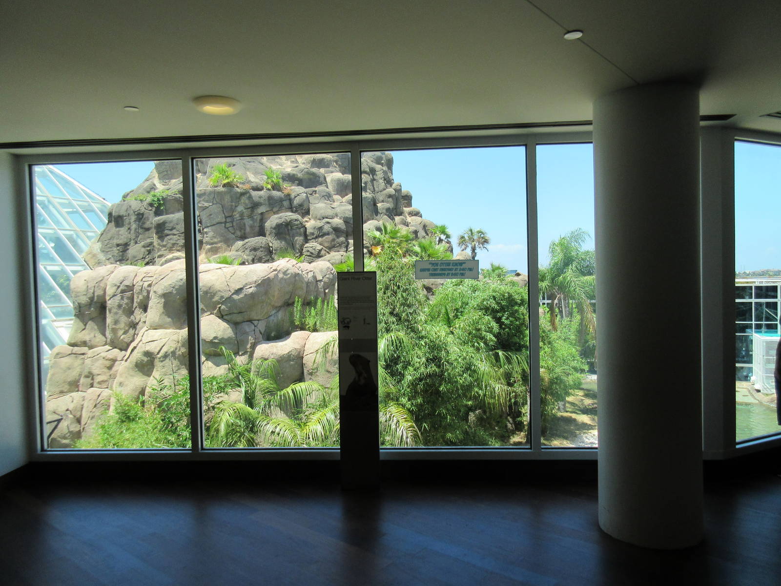 Rainforest Pyramid - Giant River Otter Exhibit - enormous!