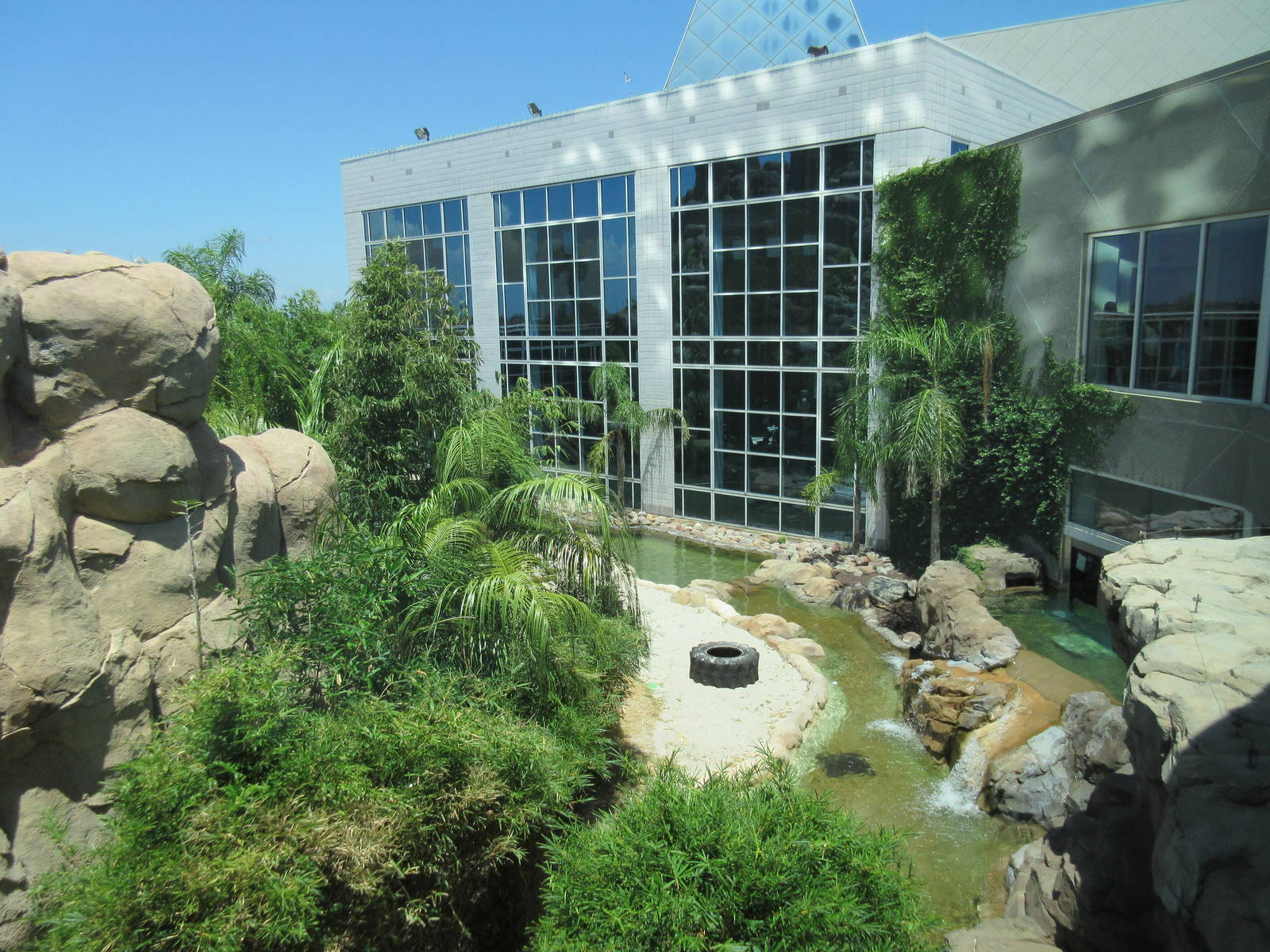 Rainforest Pyramid - Giant River Otter Exhibit - enormous!