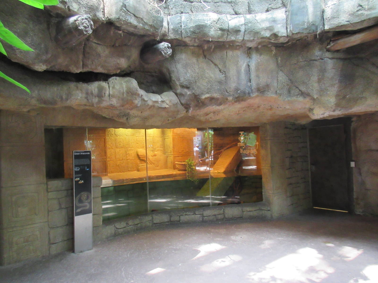 Rainforest Pyramid - Green Anaconda Exhibit