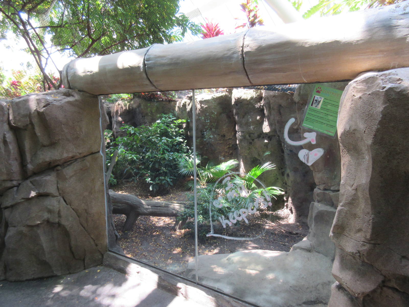 Rainforest Pyramid - Komodo Dragon Exhibit