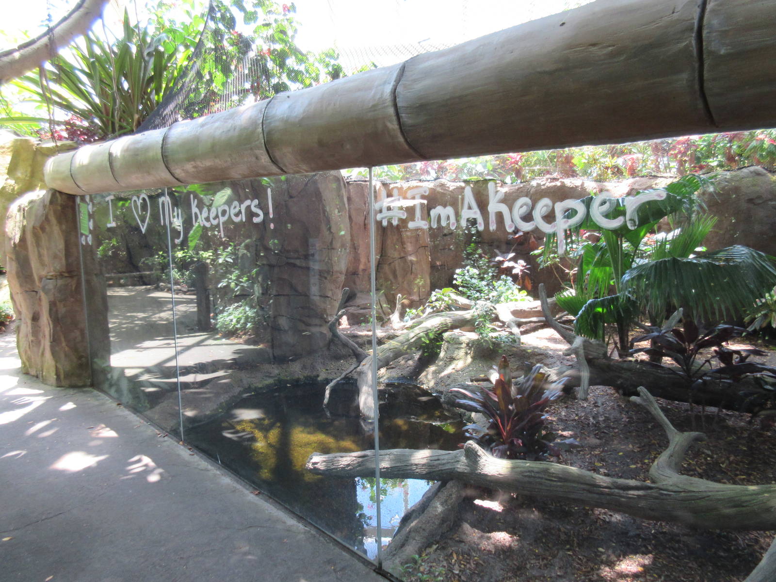 Rainforest Pyramid - Komodo Dragon Exhibit