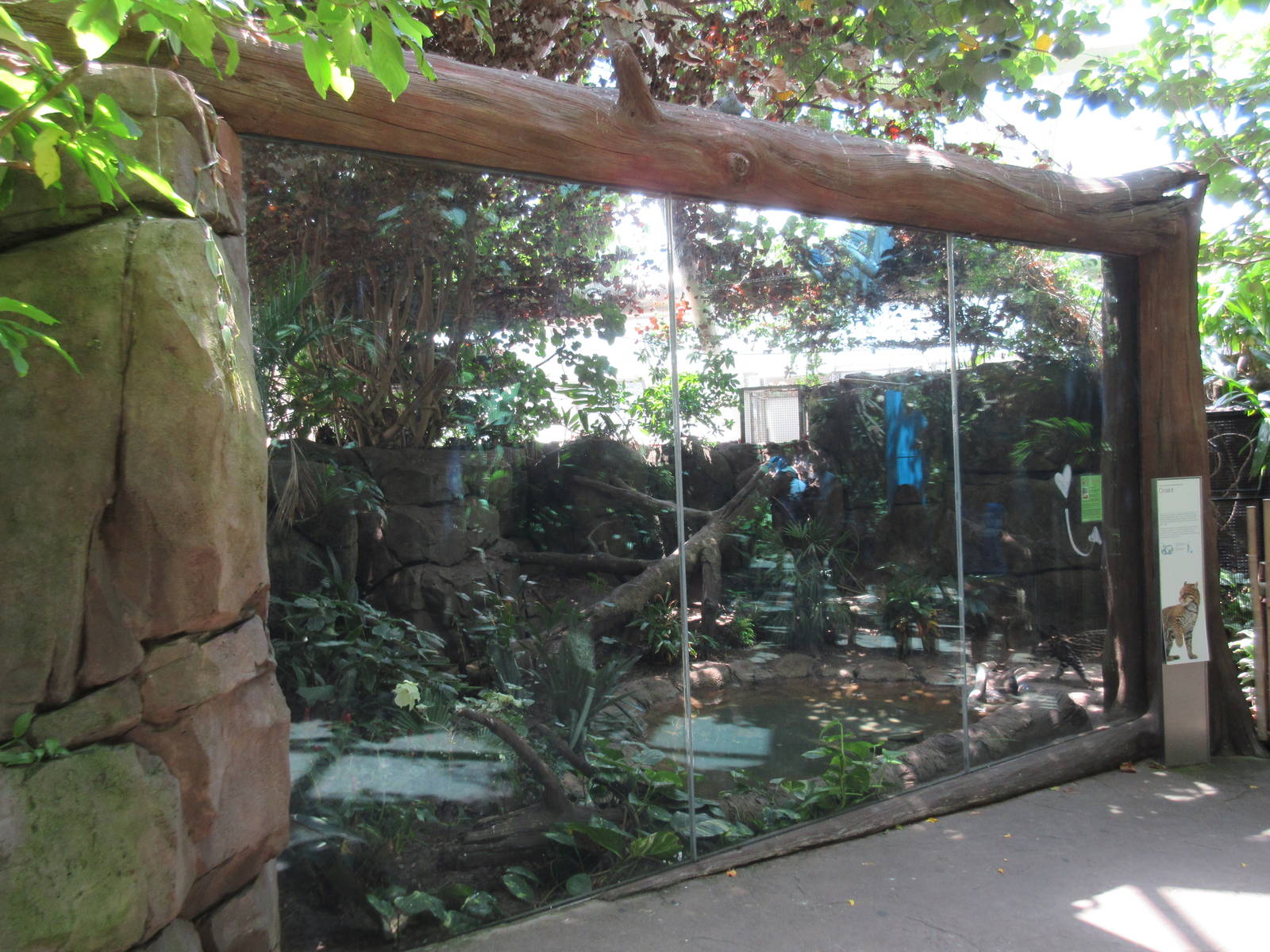 Rainforest Pyramid - Ocelot Exhibit