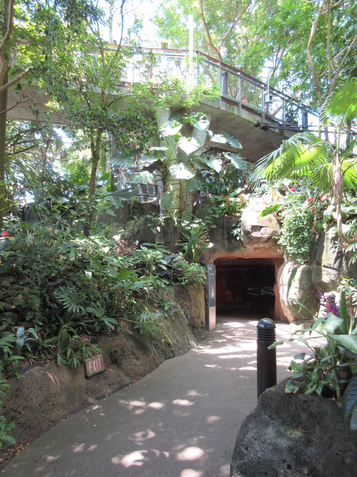 Rainforest Pyramid - Visitor Pathway