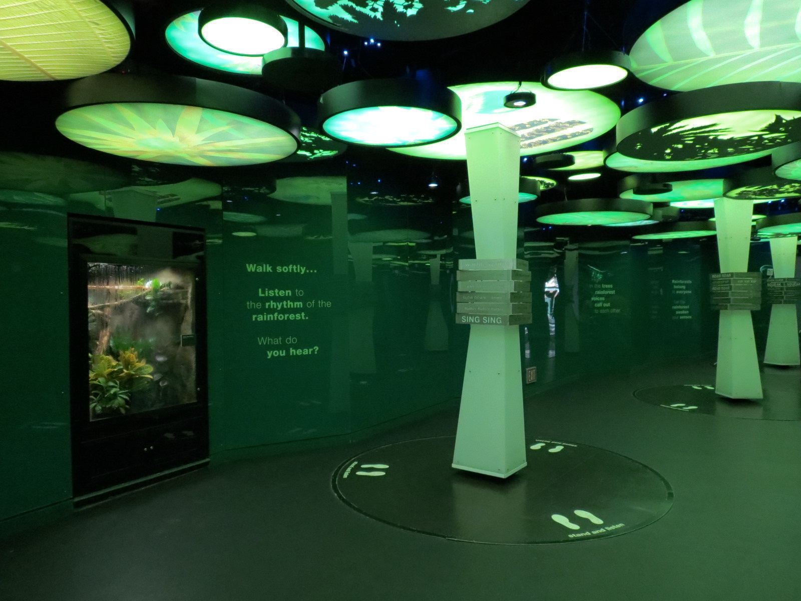 Rainforest - Rainforest Symphony Gallery