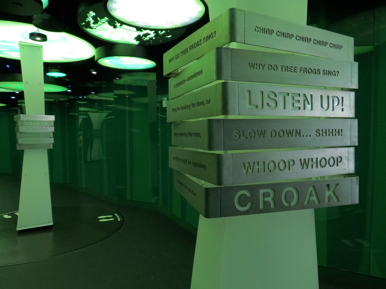 Rainforest - Rainforest Symphony Gallery