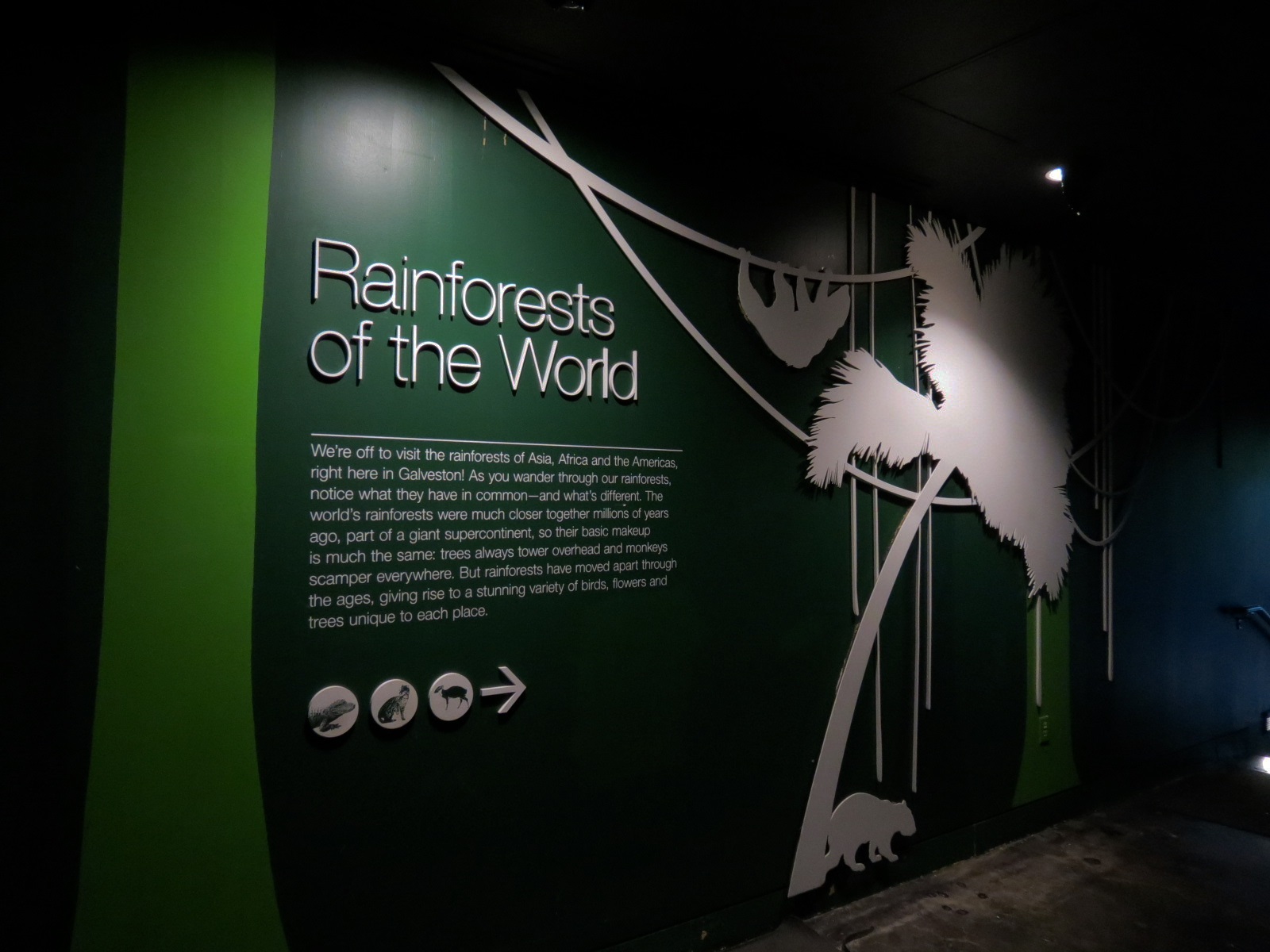 Rainforest - Rainforests of the World Sign (Introduction to Forest Floor of Main Exhibit)