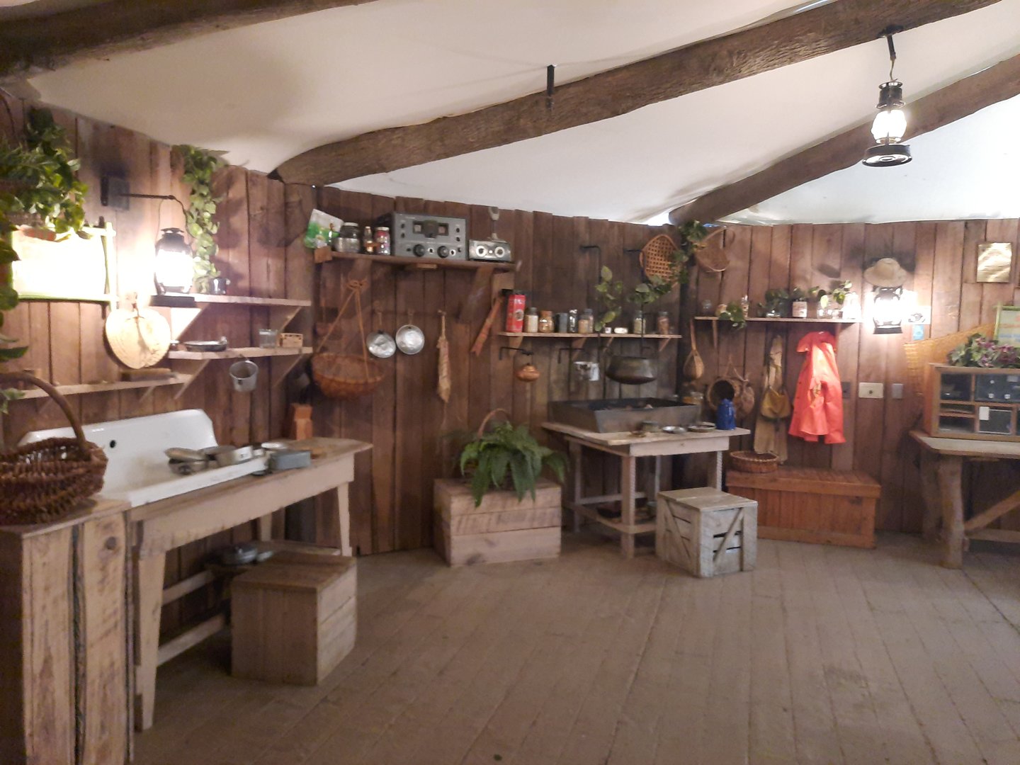 RainForest Research Hut