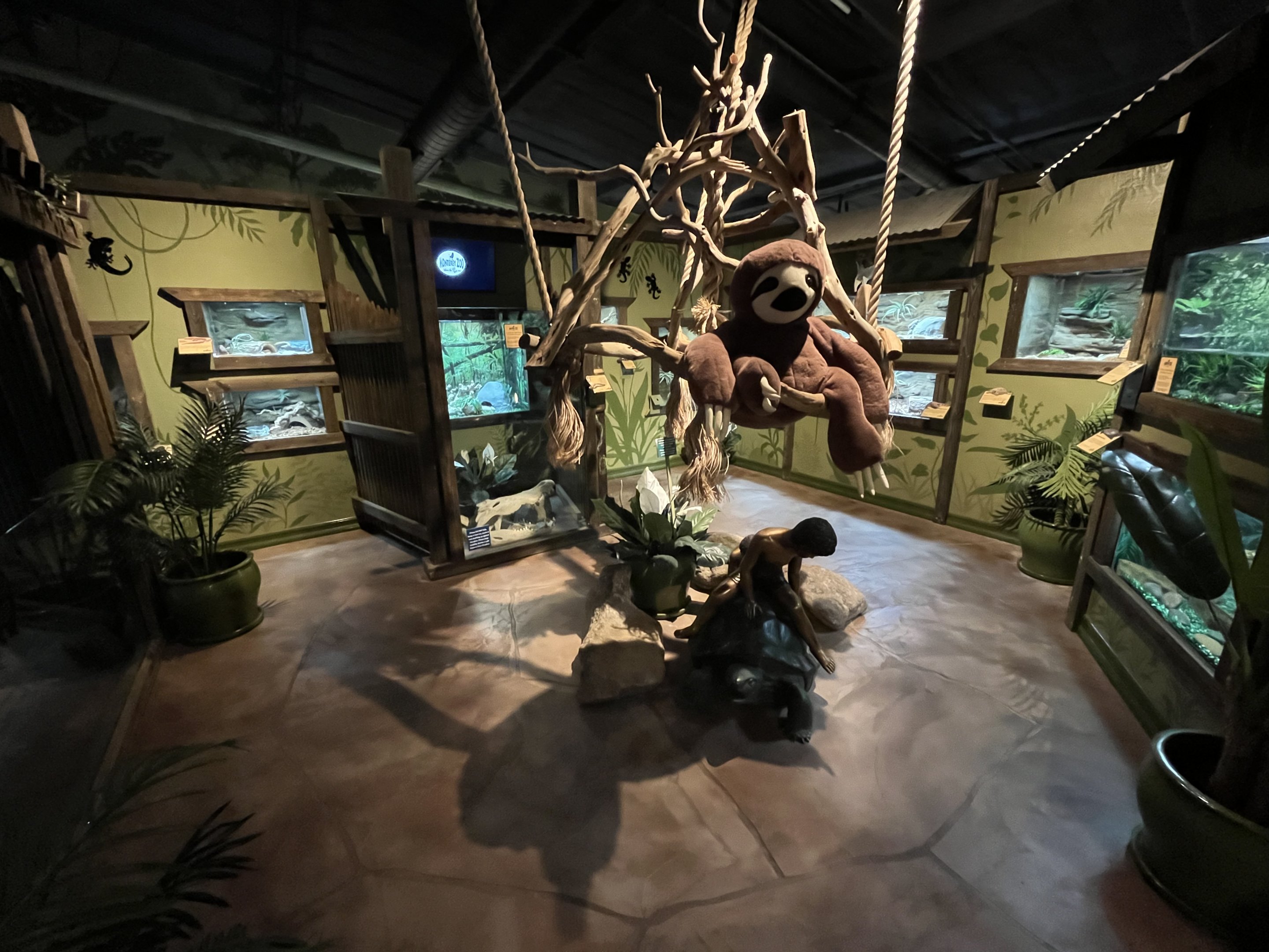 Rainforest Room - New