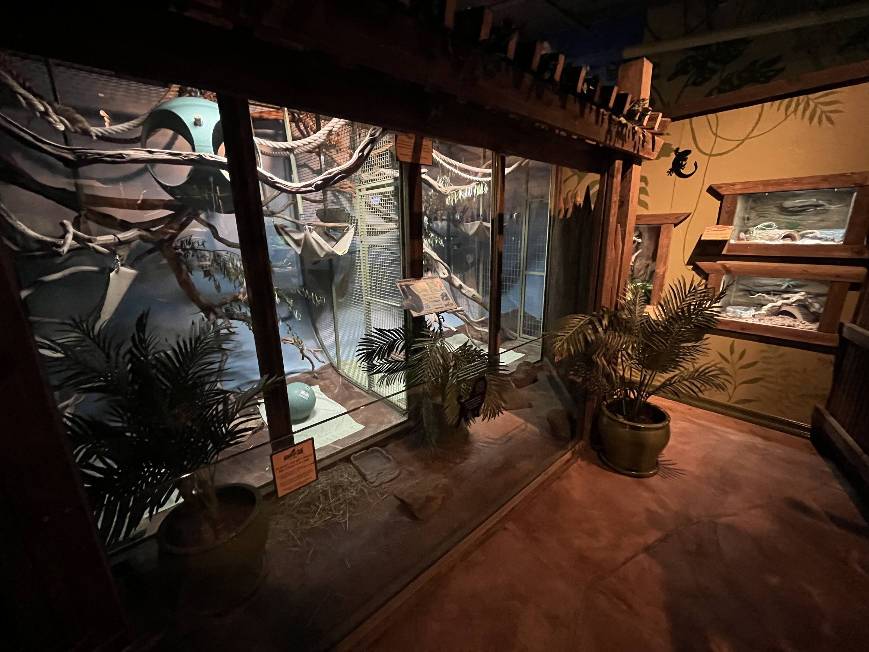 Rainforest Room - New