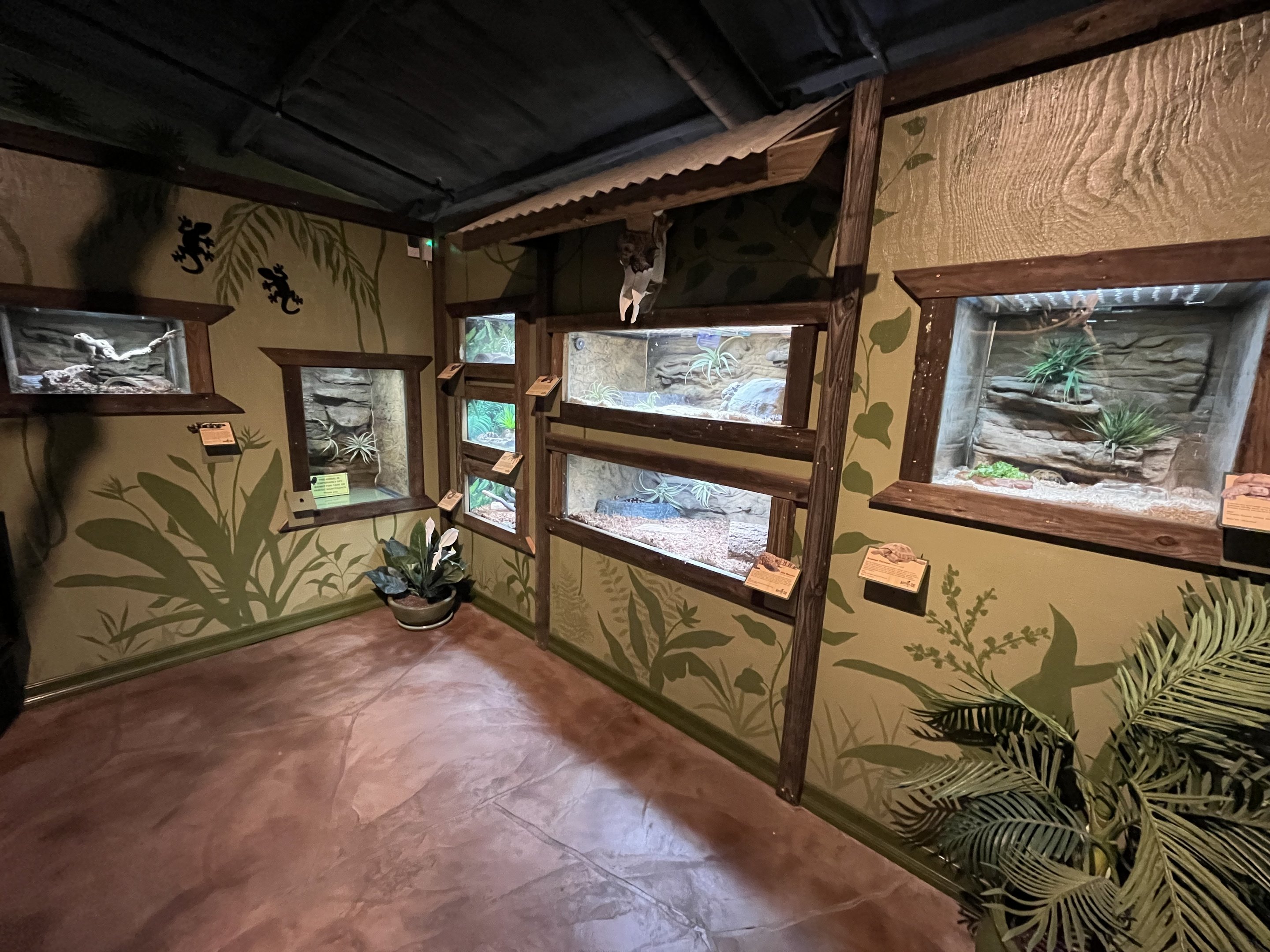 Rainforest Room - New