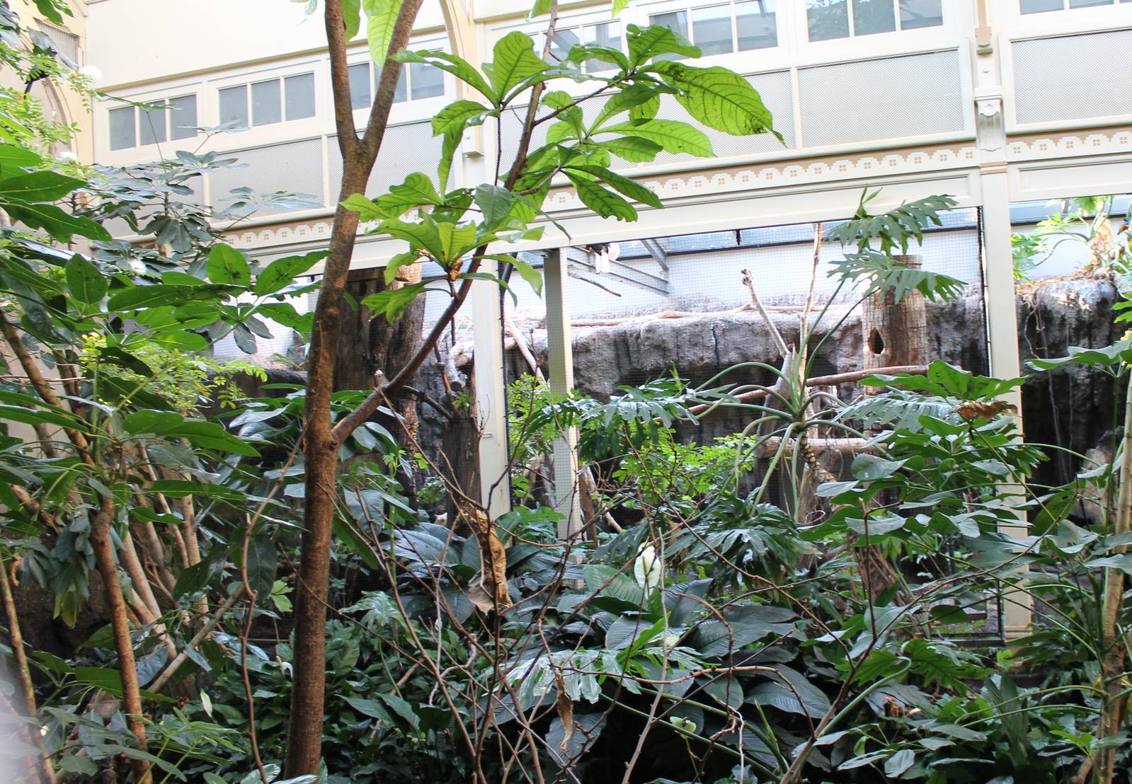 Rainforest-section Bird-house