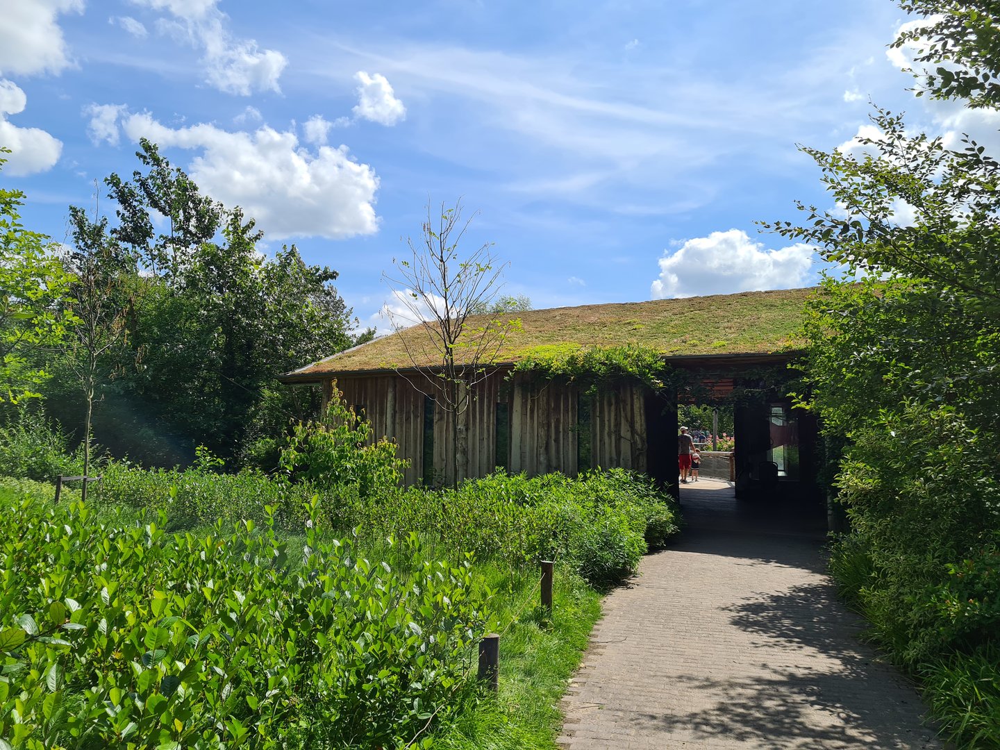 Rainforest - South American primates house