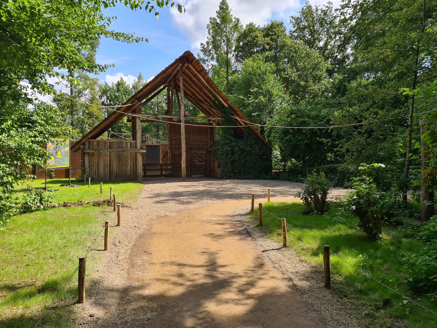 Rainforest - Squirrel monkey forest