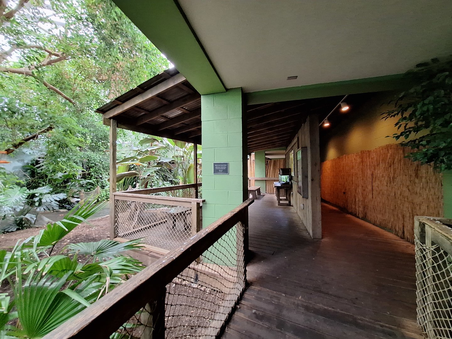 Rainforest station