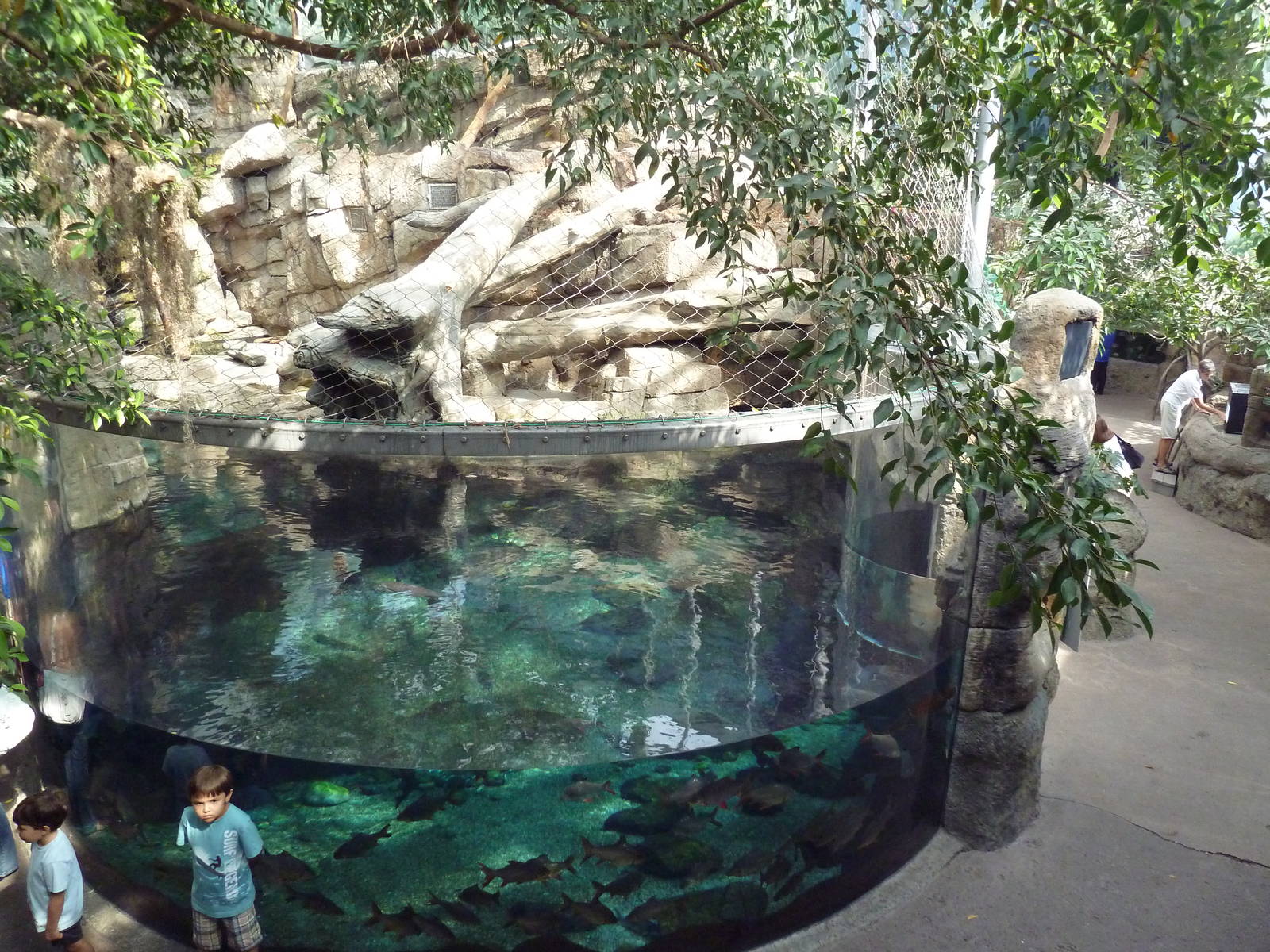 Rainforest - Sumatran Tiger Exhibit