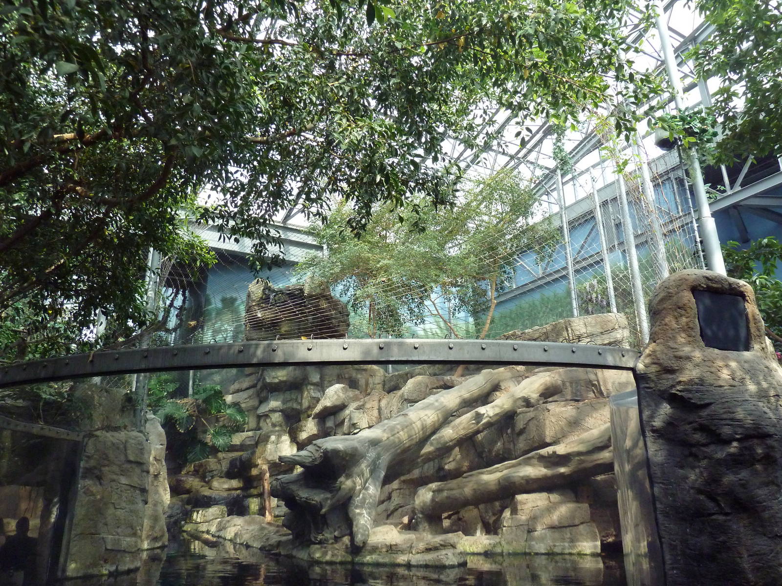 Rainforest - Sumatran Tiger Exhibit