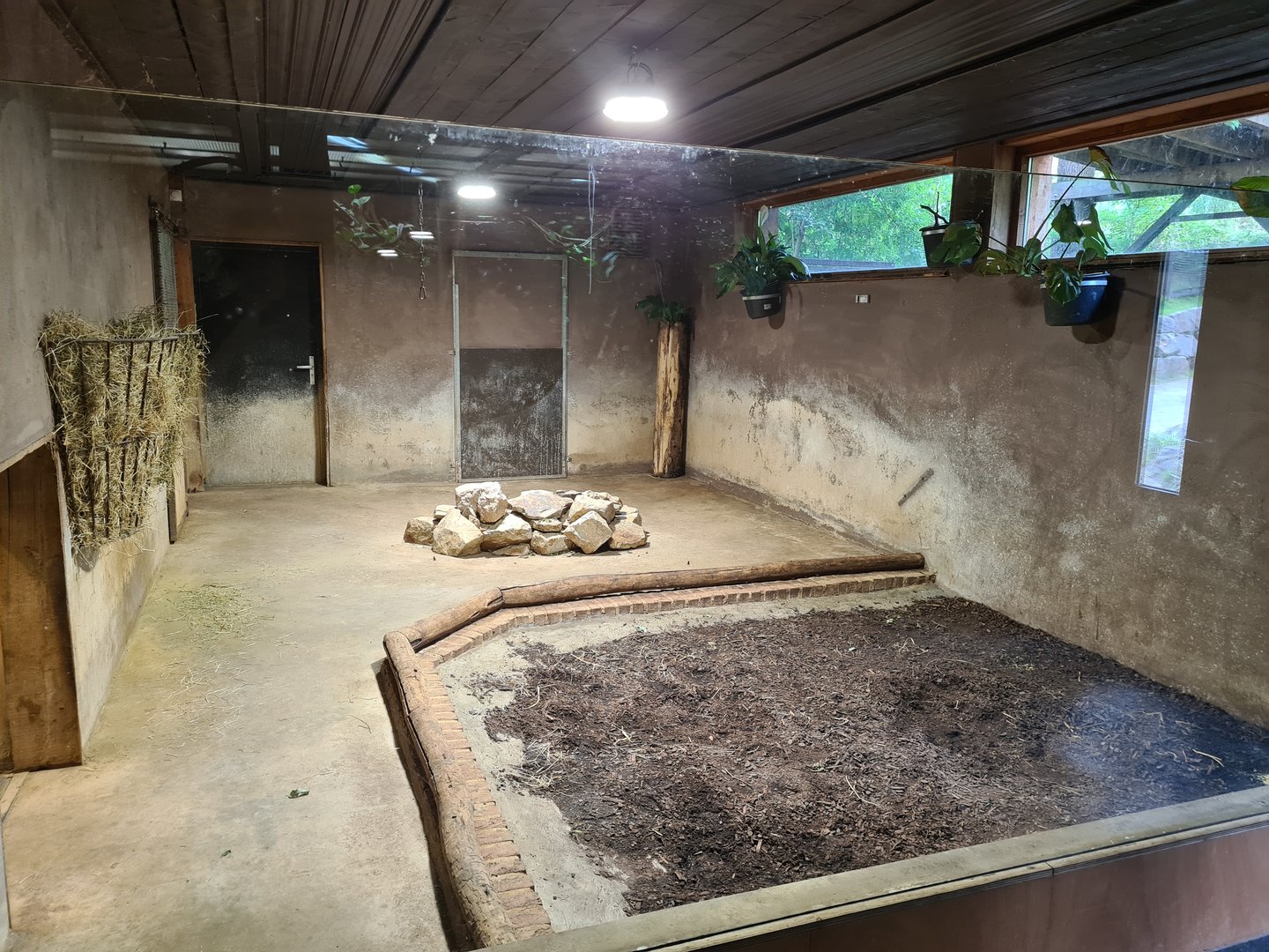 Rainforest - Tapir indoor enclosure in Tapir Terrarium building