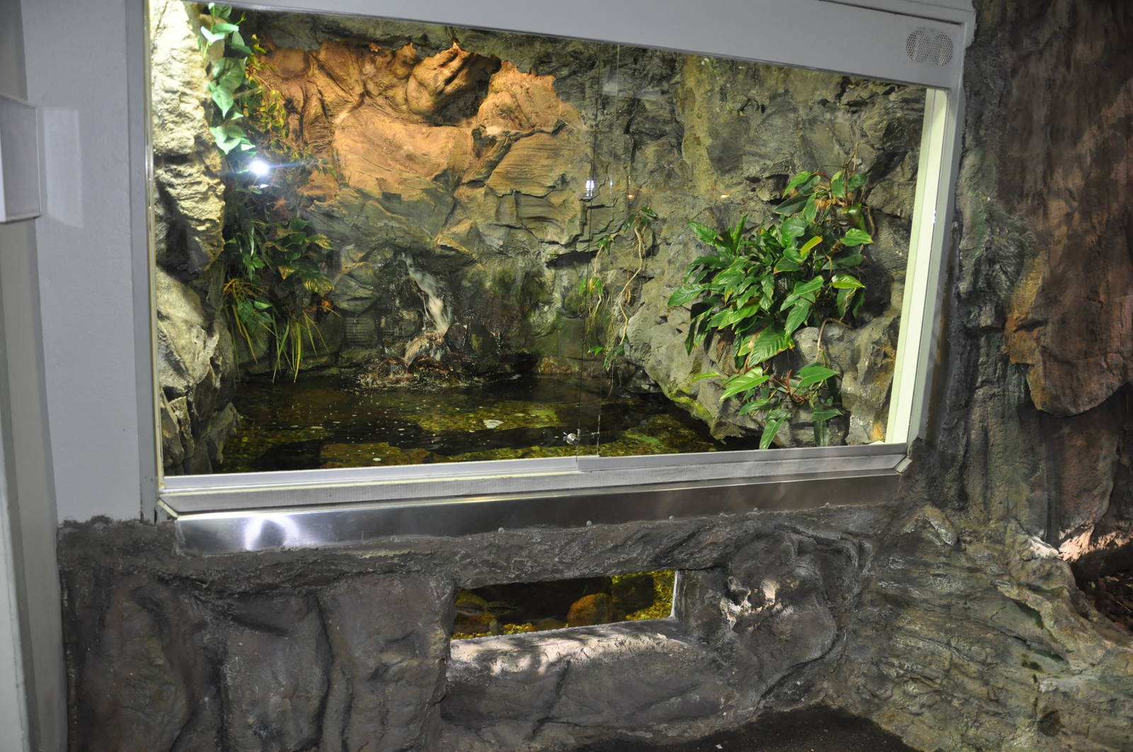 Rainforest Terrarium