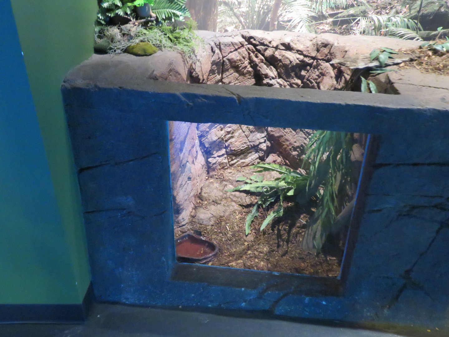 Rainforest Touch Tank
