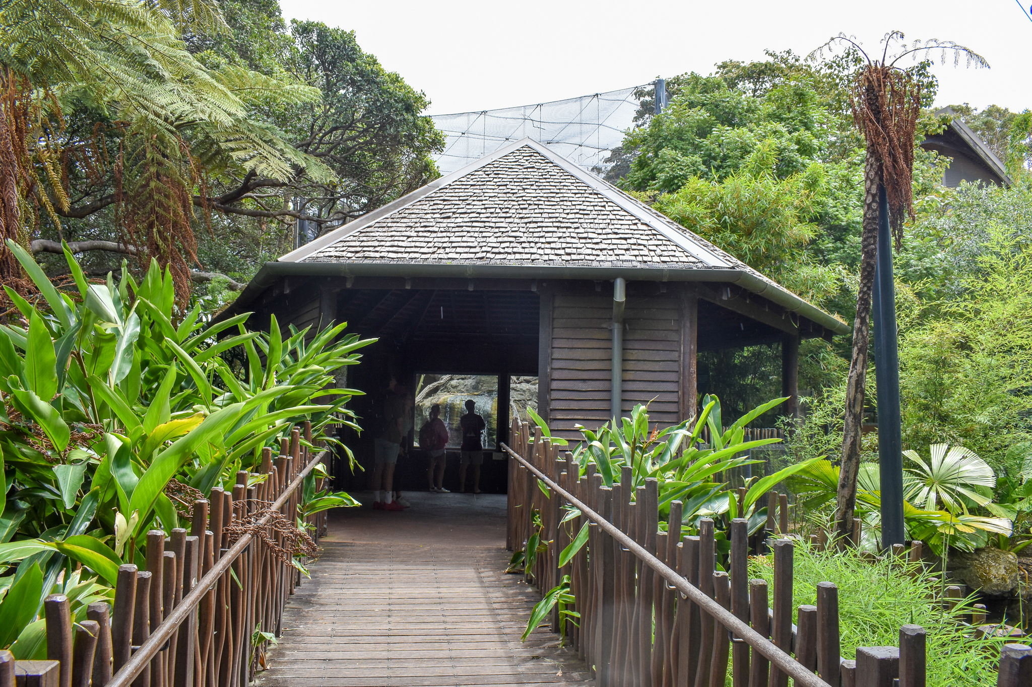 Rainforest Trail - Langur Viewing Building