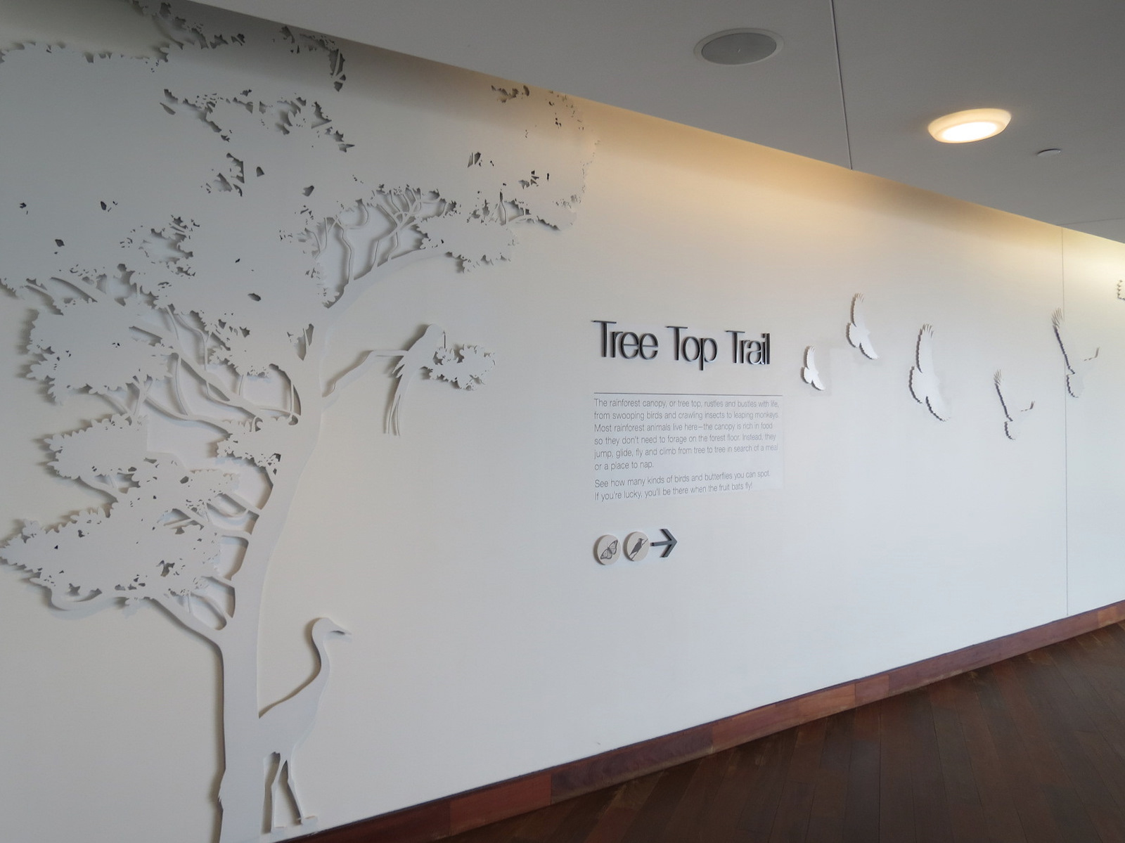 Rainforest - Tree Top Trail Entry Sign