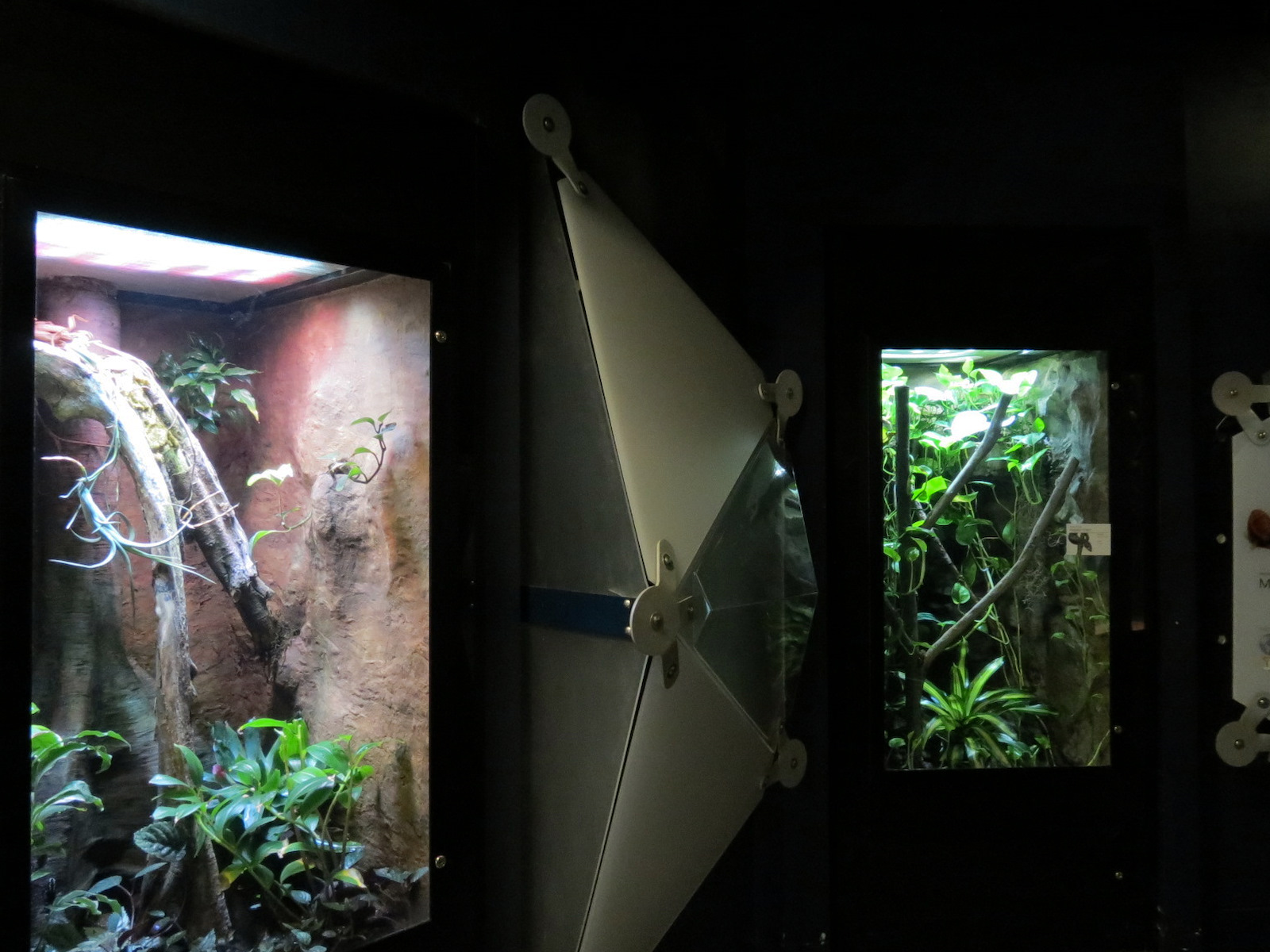Rainforest - Two Exhibits