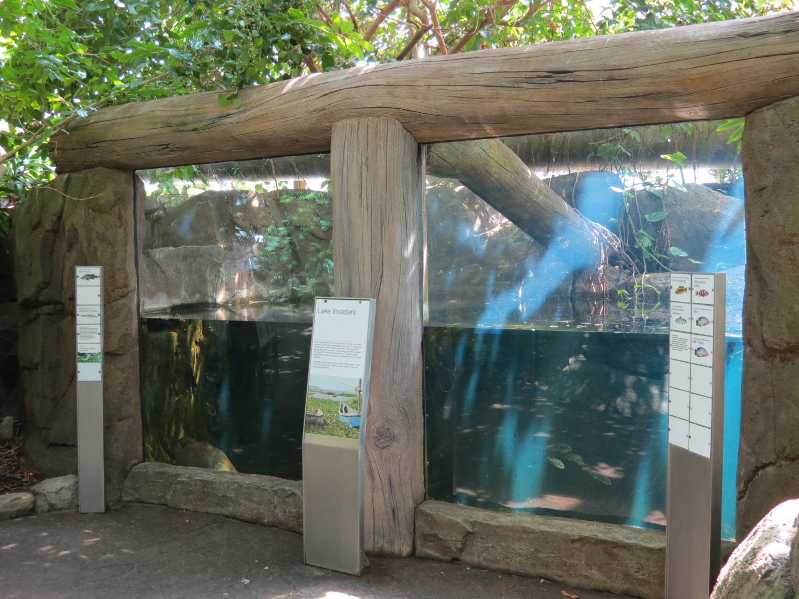 Rainforest - Two Lake Invaders (Fish) Exhibits