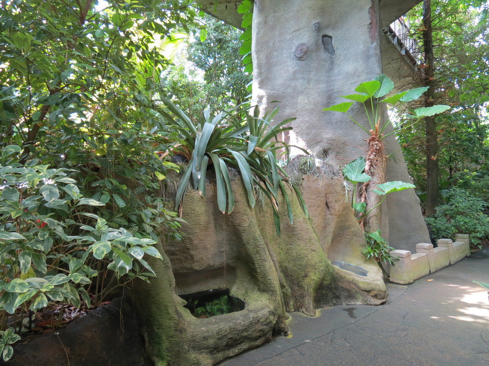 Rainforest - Two Terrariums At Base of Simulated Tree