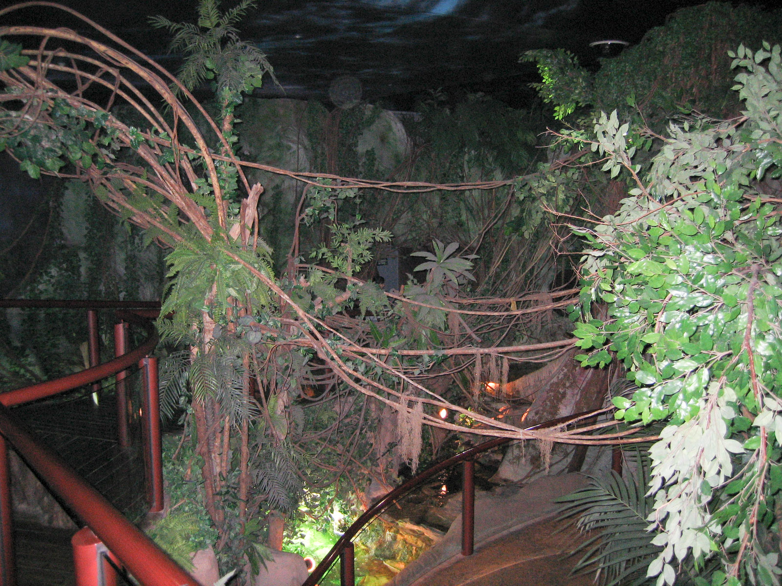 Rainforest - very fake - Oct 2003