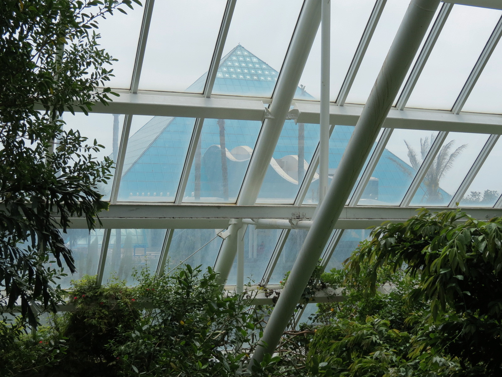 Rainforest - View Of Aquarium From Tree Top Trail