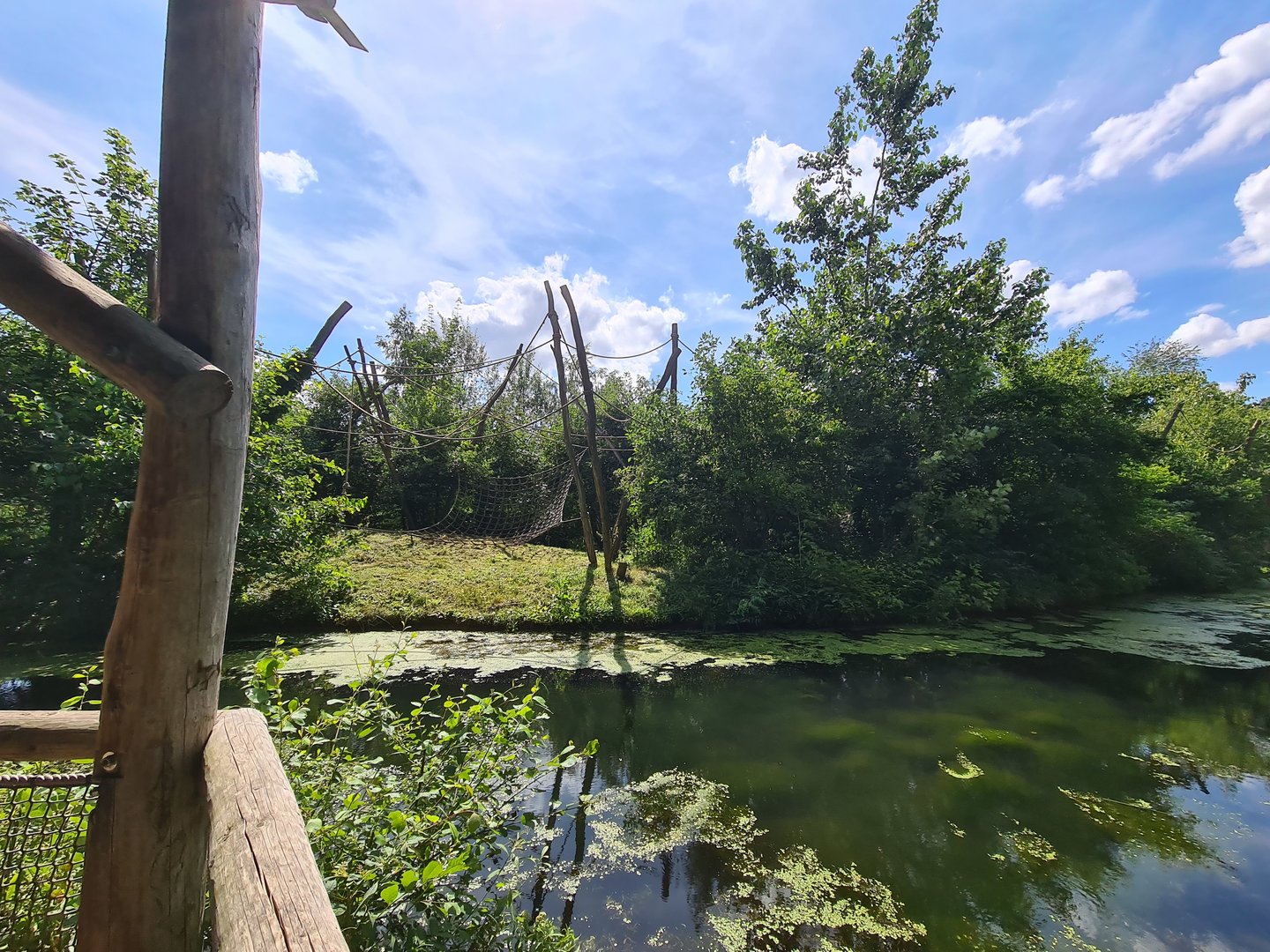 Rainforest - View of Red-faced spider monkeys from Squirrel monkey forest