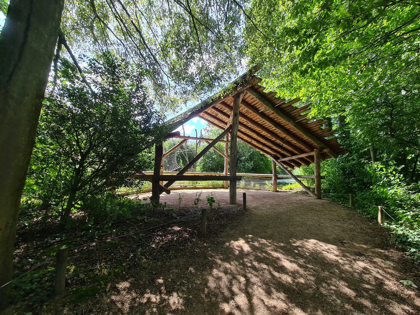 Rainforest - Viewing point in Squirrel monkey forest