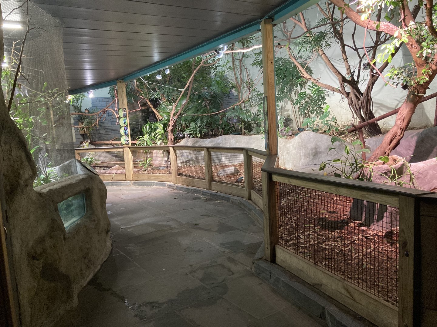 Rainforest Walkthrough Aviary View 1